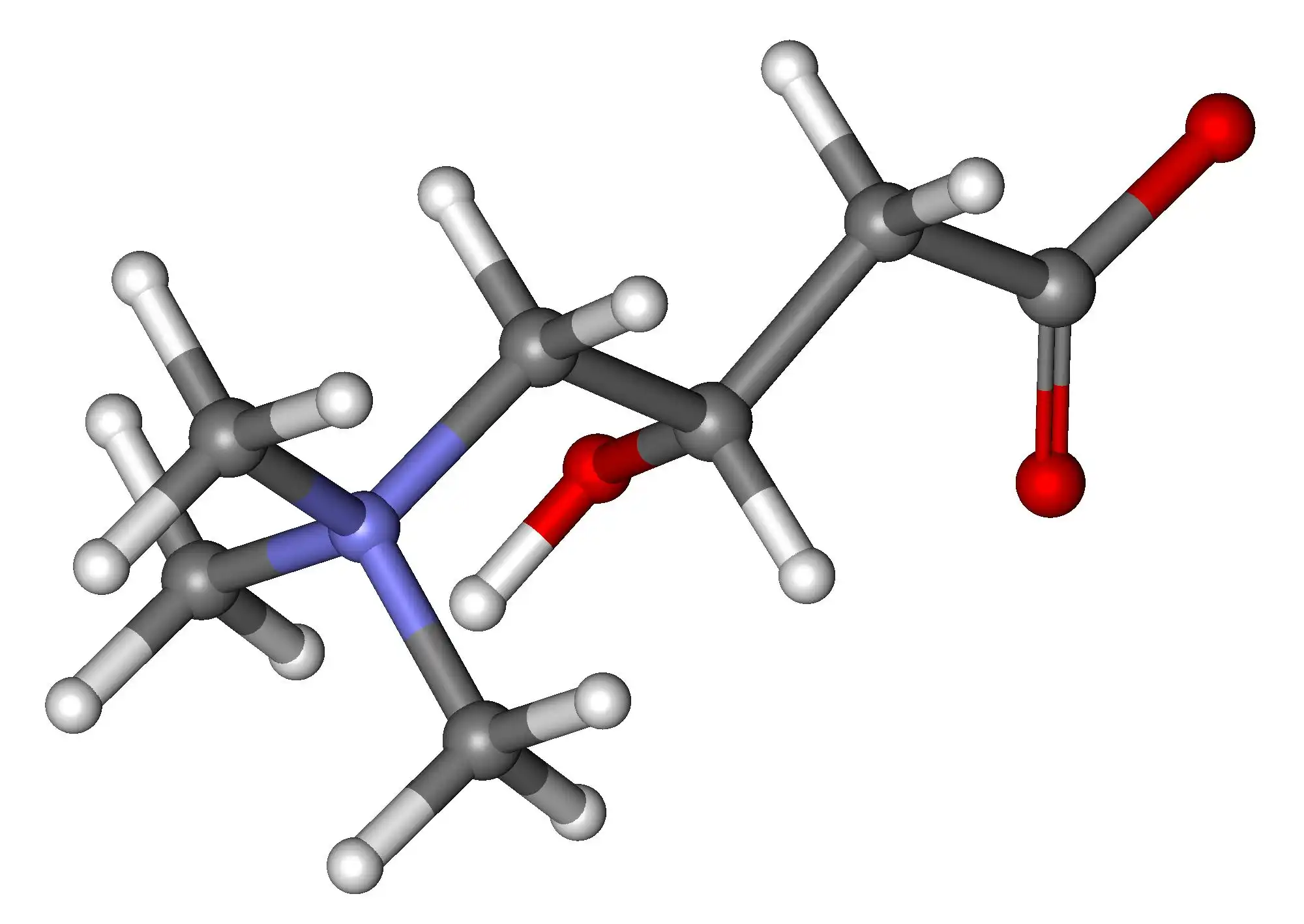 L-Carnitina